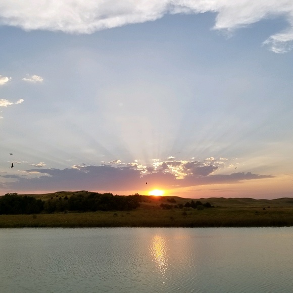 Meet your Posher, Julie - Picture 1 of 1